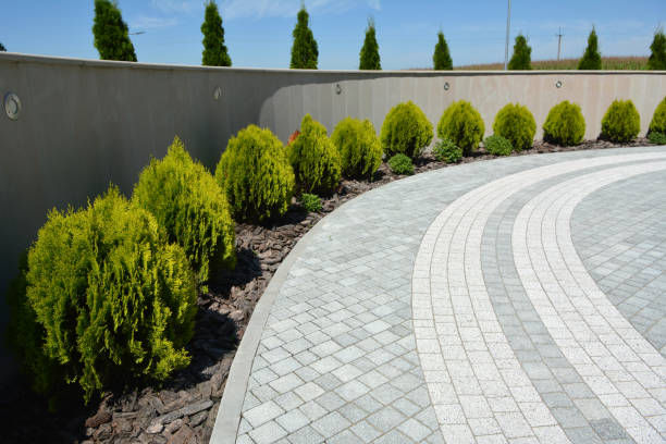 Reasons to Select Us for Your Driveway Paving Requirements in Sammamish, WA